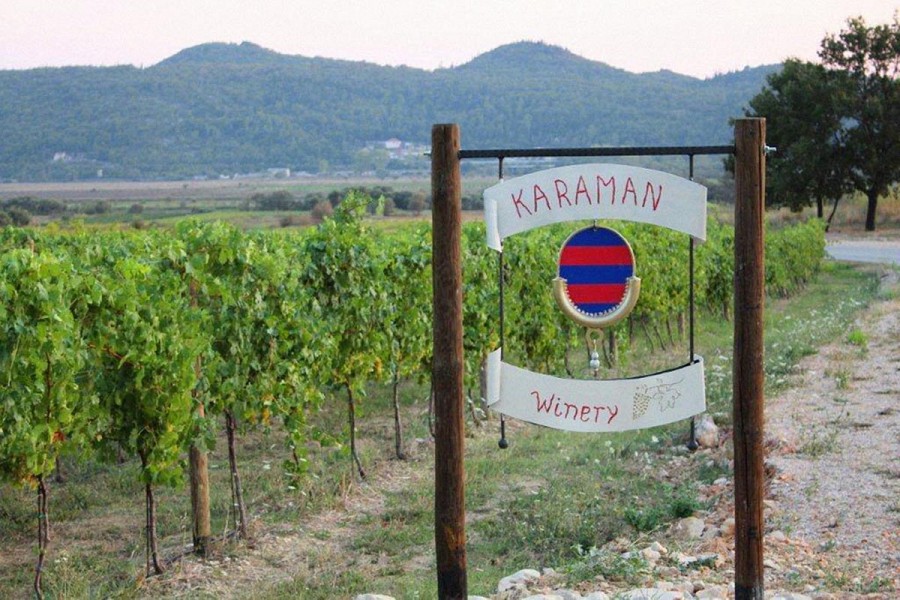 VINERY MALVASIA KARAMAN VINERY MALVASIA KARAMAN
