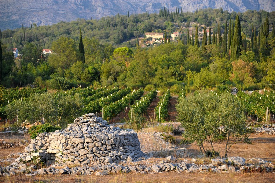 Konavle 01 Konavle 01