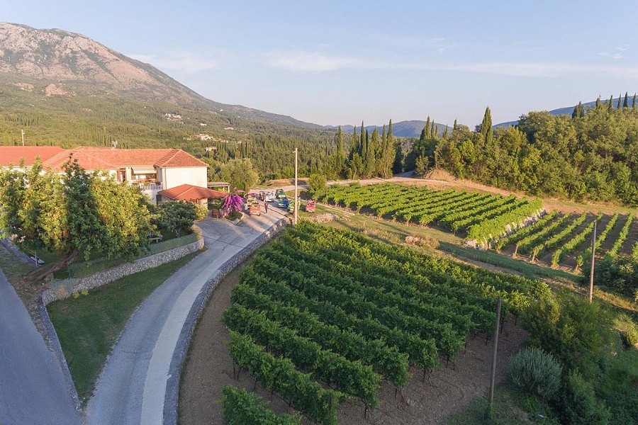 AGROTURISM BRAJKOVIĆ AGROTURISM BRAJKOVIĆ